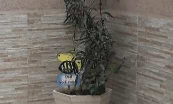 Imagem 6: SOBRADO EM PINHAIS