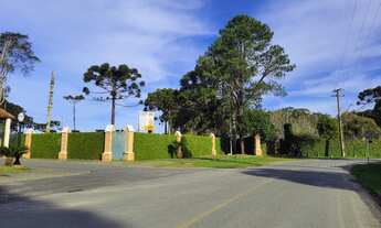 Imagem: ÁREA EM PIRAQUARA