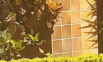 Imagem 3: Apartamento 3 Dorm. 1(suíte) 2 vagas andar medio no Condominio Maison De Ville