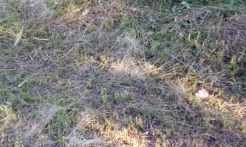 Imagem 7: TERRENO RESIDENCIAL em MARICÁ - RJ, SÃO JOSÉ DO IMBASSAÍ