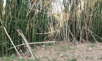 Imagem 4: TERRENO RESIDENCIAL em Maricá - RJ, Ubatiba