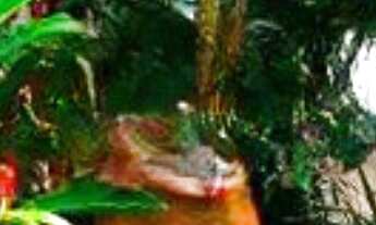 Imagem: CASA RESIDENCIAL em NITERÓI - RJ, BADU