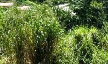 Imagem 5: TERRENO RESIDENCIAL em MARICÁ - RJ, JACAROÁ