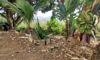 Imagem: TERRENO RESIDENCIAL em Maricá - RJ, Marquês