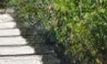 Imagem 4: CASA RESIDENCIAL em NITERÓI - RJ, BADU