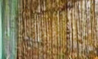 Imagem 5: APARTAMENTO RESIDENCIAL em NITERÓI - RJ, CENTRO