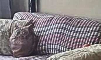 Imagem: APARTAMENTO RESIDENCIAL em NITERÓI - RJ