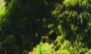 Imagem: APARTAMENTO RESIDENCIAL em NITERÓI - RJ