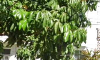 Imagem: APARTAMENTO RESIDENCIAL em NITERÓI - RJ