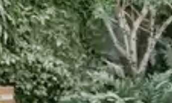 Imagem 3: APARTAMENTO RESIDENCIAL em NITERÓI - RJ, ICARAÍ