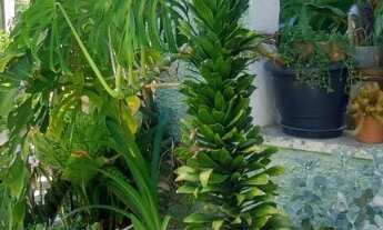 Imagem 5: CASA RESIDENCIAL em NITERÓI - RJ, FÁTIMA