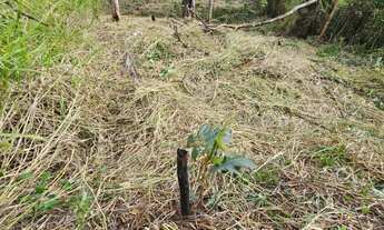 Imagem: TERRENO RESIDENCIAL em MARICÁ - RJ, CAJUEIROS