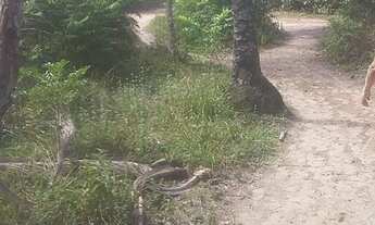 Imagem 2: TERRENO RESIDENCIAL em VERA CRUZ - BA, JIRIBATUBA