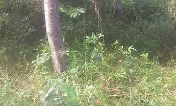 Imagem 3: TERRENO RESIDENCIAL em VERA CRUZ - BA, JIRIBATUBA