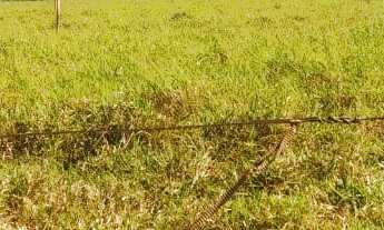 Imagem 6: CHACARA RURAL em DEODÁPOLIS - MS, Portal dos ipês