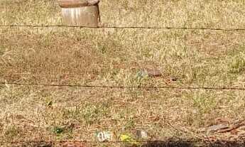 Imagem: TERRENO RESIDENCIAL em DEODÁPOLIS - MS