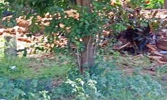 Imagem 2: TERRENO RESIDENCIAL em DEODÁPOLIS - MS, Jd São José