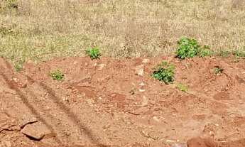 Imagem 3: TERRENO RESIDENCIAL em DEODÁPOLIS - MS, Jd Estrela de Ouro