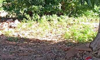 Imagem 4: TERRENO RESIDENCIAL em DEODÁPOLIS - MS, Jd São José