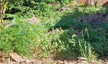 Imagem: TERRENO RESIDENCIAL em DEODÁPOLIS - MS