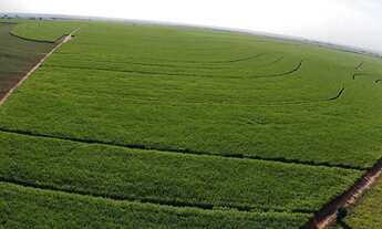 Imagem 2: FAZENDA RURAL em ANGÉLICA - MS, Rural