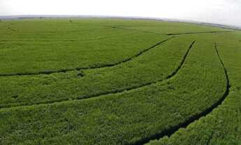 Imagem 7: FAZENDA RURAL em ANGÉLICA - MS, Rural
