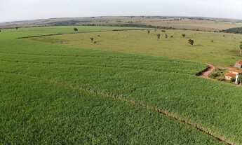 Imagem 4: FAZENDA RURAL em ANGÉLICA - MS, Rural