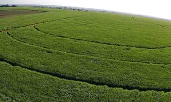 Imagem 5: FAZENDA RURAL em ANGÉLICA - MS, Rural