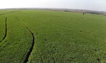 Imagem 6: FAZENDA RURAL em ANGÉLICA - MS, Rural