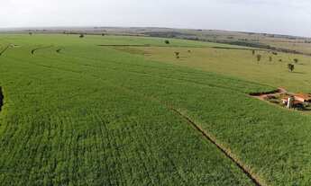 Imagem 3: FAZENDA RURAL em ANGÉLICA - MS, Rural