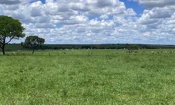 Imagem: FAZENDA RURAL em RIBAS DO RIO PARDO - MS