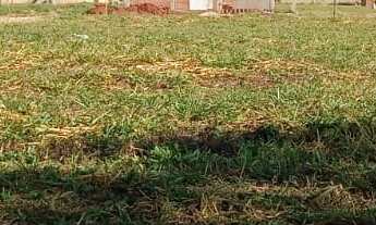 Imagem 2: TERRENO RESIDENCIAL em DEODÁPOLIS - MS, Portal dos ipês