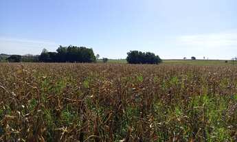 Imagem 6: SITIO RURAL em DEODÁPOLIS - MS, Zona Rural