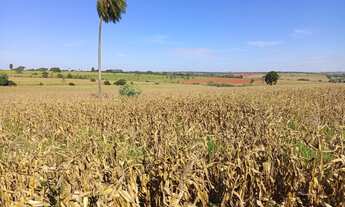 Imagem: SITIO RURAL em DEODÁPOLIS - MS, Zona Rural