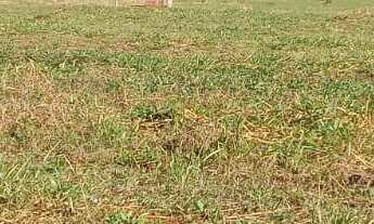 Imagem 5: TERRENO RESIDENCIAL em DEODÁPOLIS - MS, Portal dos ipês