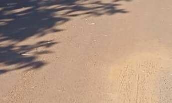 Imagem 7: TERRENO RESIDENCIAL em DEODÁPOLIS - MS, Portal dos ipês