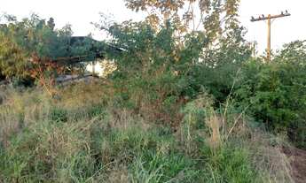 Imagem 3: CHACARA RURAL em Deodápolis - MS, Zona Rural