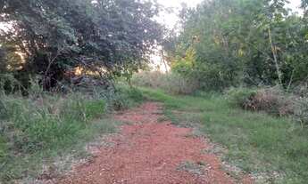 Imagem 7: CHACARA RURAL em Deodápolis - MS, Zona Rural