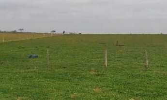 Imagem: SITIO RURAL em DEODÁPOLIS - MS, Zona Rural