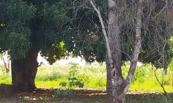 Imagem 7: SITIO RURAL em DEODÁPOLIS - MS, Zona Rural