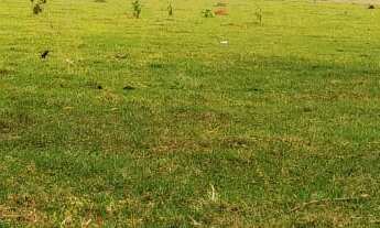 Imagem 6: CHACARA RURAL em LAGOA BONITA - MS, CENTRO