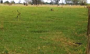 Imagem 5: CHACARA RURAL em LAGOA BONITA - MS, CENTRO