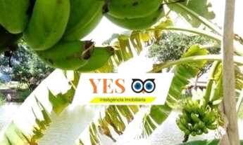 Imagem: Yes imob - Chácara rural para Venda, São