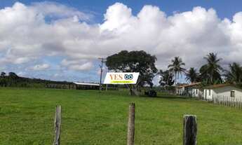 Imagem 2: Yes imob - Fazenda rural para Venda, São João do Paraíso, Itabuna, 268,00 HECTARES constru