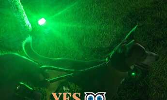 Imagem 5: Yes Imob - Casa residencial para Venda, Sim, Feira de Santana, 2 dormitórios sendo 2 suíte