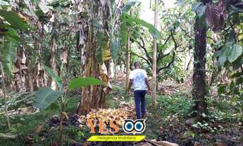 Imagem 4: Yes Imob - Sitio residencial para Venda, Coaraci, Itajuípe, 20.000,00 m²