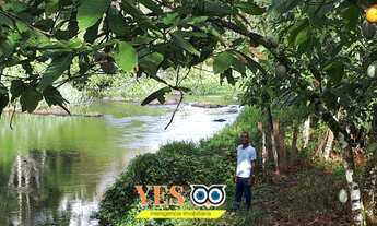 Imagem 6: Yes Imob - Sitio residencial para Venda, Coaraci, Itajuípe, 20.000,00 m²