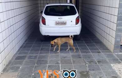 Imagem 4: Yes Imob - Casa residencial para Venda, Jardim Cruzeiro, Feira de Santana, 5 dormitórios s