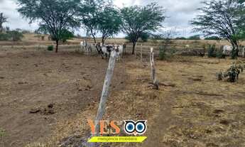 Imagem 4: Yes Imob - Fazenda residencial para Venda, Centro, Ipirá, 1 dormitório, 1 banheiro, 3.920