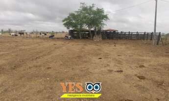 Imagem 5: Yes Imob - Fazenda residencial para Venda, Centro, Ipirá, 1 dormitório, 1 banheiro, 3.920